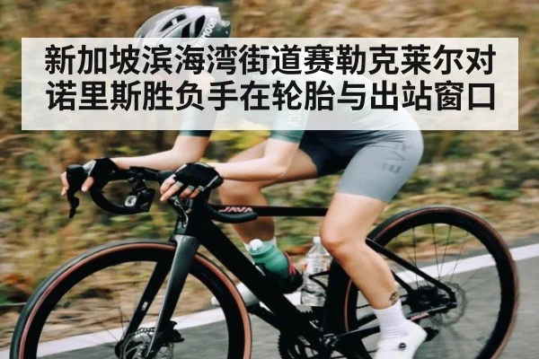 新加坡滨海湾街道赛勒克莱尔对诺里斯胜负手在轮胎与出站窗口